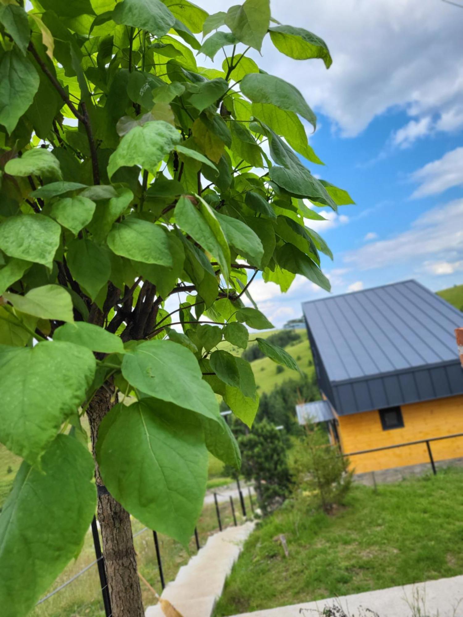 Huut Zlatibor